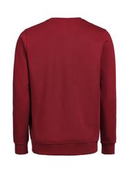 UM Crewneck Regular Fit