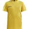 Sweden yellow