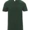 Bottle green