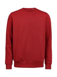 UM Crewneck Regular Fit