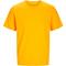 Spectra Yellow