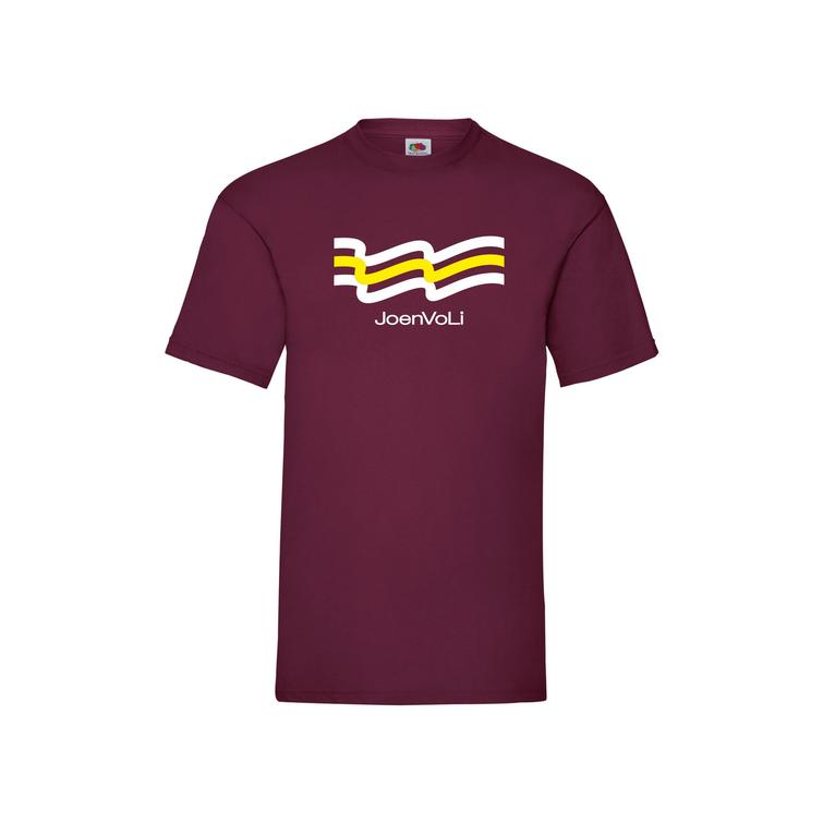 Miesten t-paita JoenVoLi logolla