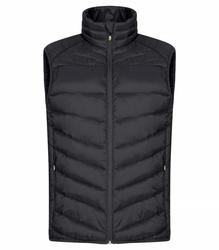 Miesten kevyt toppaliivi J&auml;Ra logolla