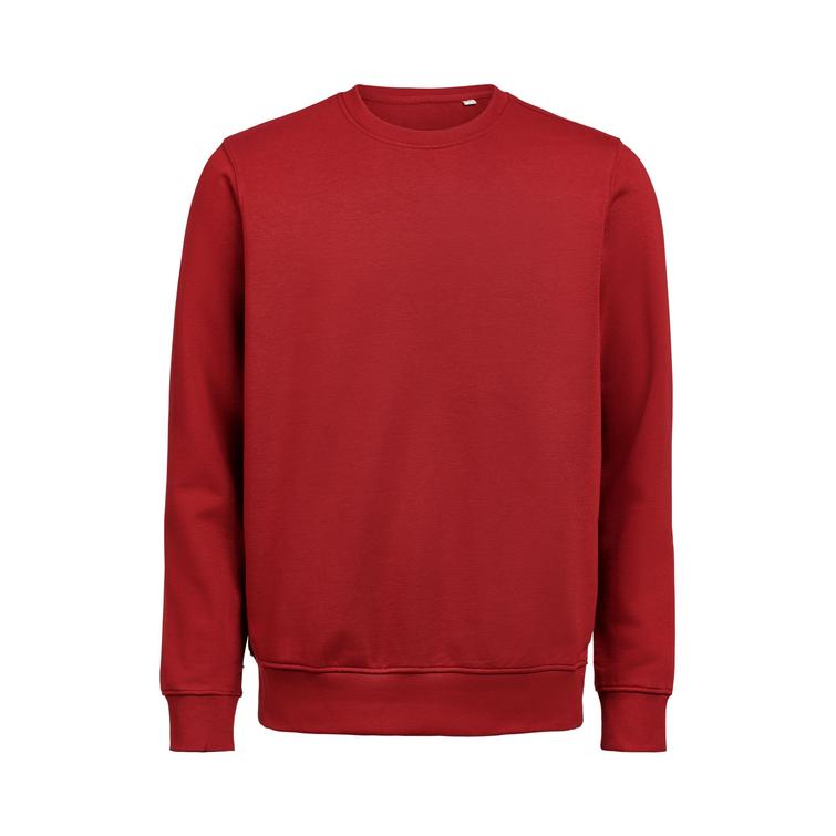 UM Crewneck Regular Fit