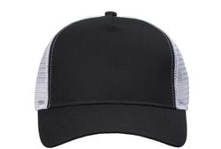 Truck player lippalakki