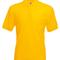 Sunflower 34