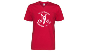 Miesten v-aukollinen t-paita M-Monessa mukana logolla